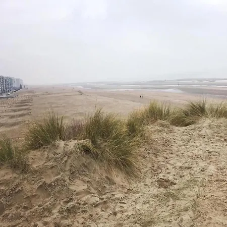 Apartament In With Sea View, Cleaning Included *