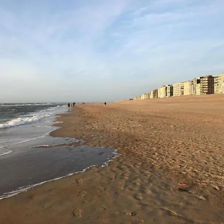 Apartament In With Sea View, Cleaning Included *